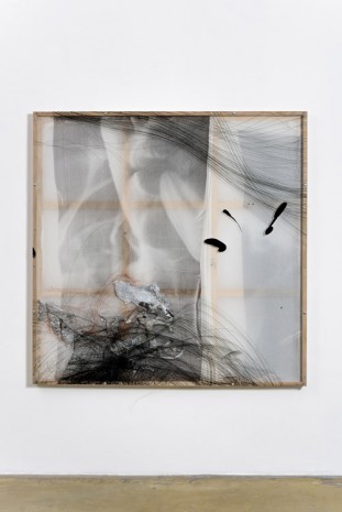 David Douard, WE (breath), 2015, Galerie Chantal Crousel