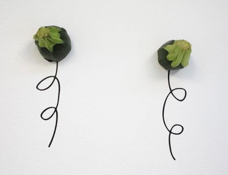 Jack Strange, Metaphorical Vegetables (detail), 2011, Tanya Bonakdar Gallery