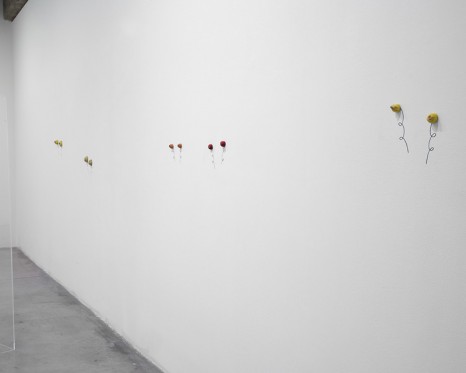 Jack Strange, Metaphorical Vegetables, 2011, Tanya Bonakdar Gallery
