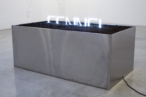 Jack Strange, Fennel, 2011, Tanya Bonakdar Gallery