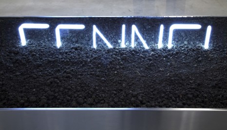 Jack Strange, Fennel (detail), 2011, Tanya Bonakdar Gallery
