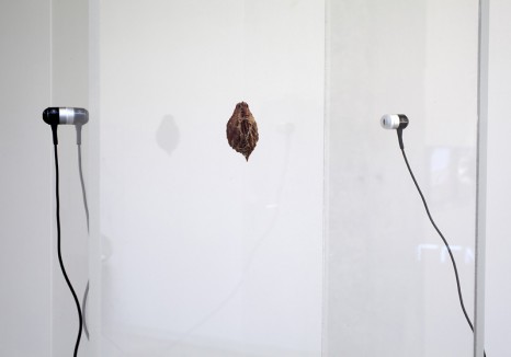 Jack Strange, Blues Avocado, Classical Date, Pop Plum, Electronic Olive, Jazz Nectarine (detail), 2011, Tanya Bonakdar Gallery