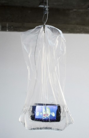 Jack Strange, All Fish, 2011, Tanya Bonakdar Gallery