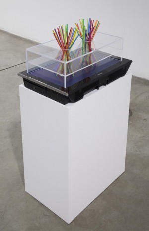 Jack Strange, Consciousness Combi 2, 2011, Tanya Bonakdar Gallery