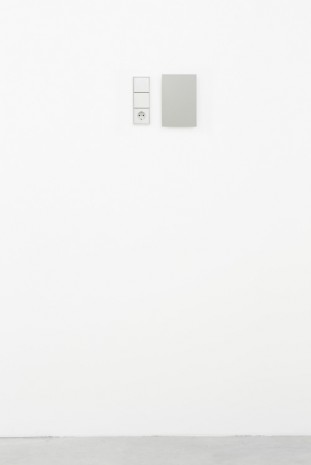 Florian Slotawa, Chrysler PJM (Light Silverfern met.), 2015, Galerie Nordenhake