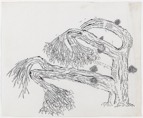 Gordon Matta-Clark, Cactus, 1969, David Zwirner