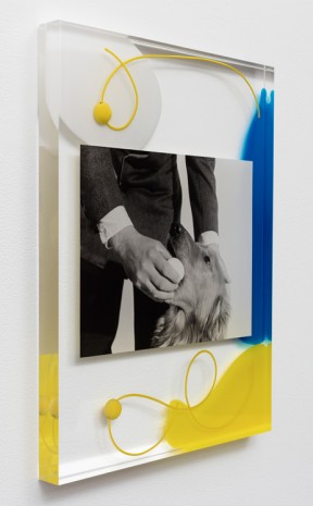 Elad Lassry, Untitled (Man and Dog), 2015, David Kordansky Gallery