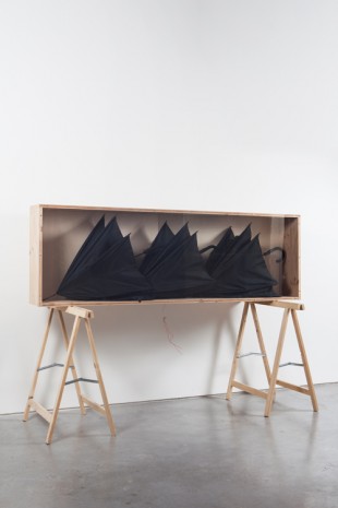 Roman Signer, Drei Regenschirme gleichzeitig geöffnet, 2014, Art : Concept