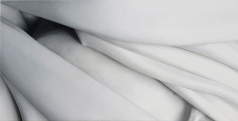 Alison Watt, Shoal, 2011, Ingleby Gallery