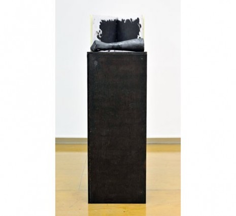 Lili Reynaud-Dewar, Some objects blackened, 2011, Mary Mary
