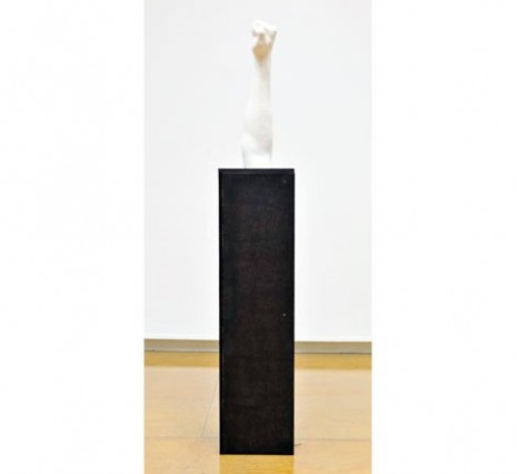 Lili Reynaud-Dewar, Some objects blackened, 2011, Mary Mary