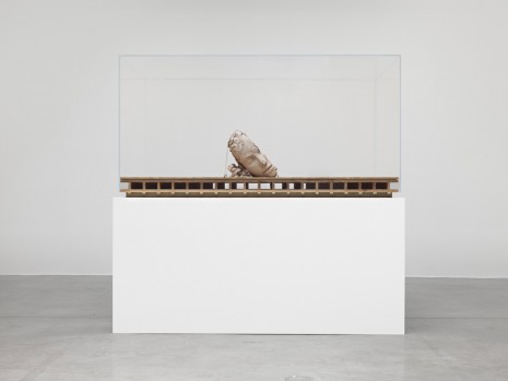 Mark Manders, Dry Head on Wooden Floor, 2015, Tanya Bonakdar Gallery