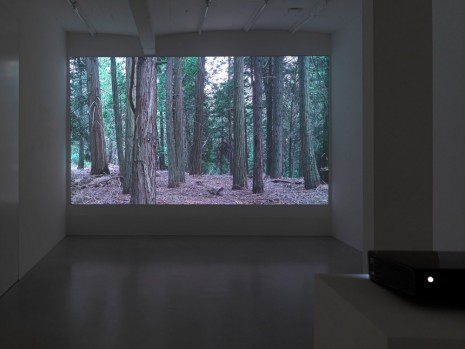 James Benning, Nightfall, 2011, Sies + Höke Galerie