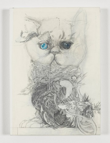 Ataru Sato, An “Adorable” Cat, 2015, Gallery Koyanagi
