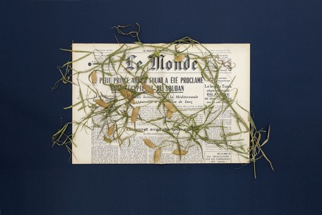 Pia Rönicke, LE MONDE, Friday, Mardi 29 Juillet, 1952, Lathyrus sativus, 2015, gb agency