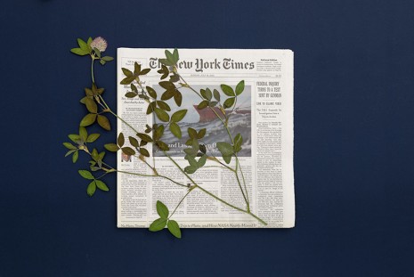 Pia Rönicke, THE NEW YORK TIMES, Sunday, July 19, 2015, Trifolium partense, 2015, gb agency