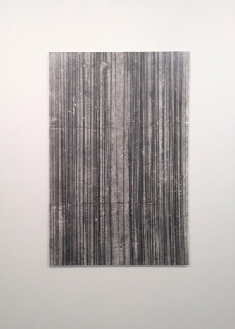 Diogo Pimentão, In (visible #1), 2015, Cristina Guerra Contemporary Art