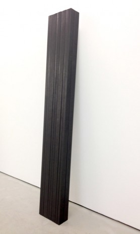 Diogo Pimentão, Participle #1, 2015, Cristina Guerra Contemporary Art