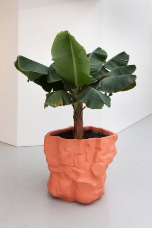FOS, Flowerpot Large, 2015, Kate MacGarry