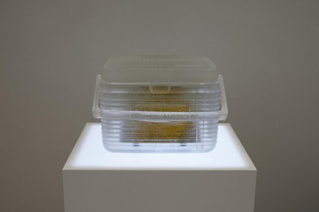 Josh Kline, Drudgery Displacement, 2015, Simon Lee Gallery