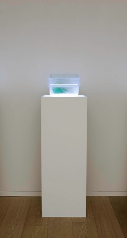 Josh Kline, Essence of Bitter Melon, 2015, Simon Lee Gallery