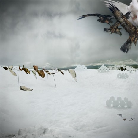 Anthony Goicolea, Snowscape with Owls, 2003, Aurel Scheibler