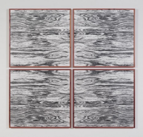 Lisa Oppenheim, Landscape Portraits (Eastern Red Cedar) (Version I), 2015, Tanya Bonakdar Gallery