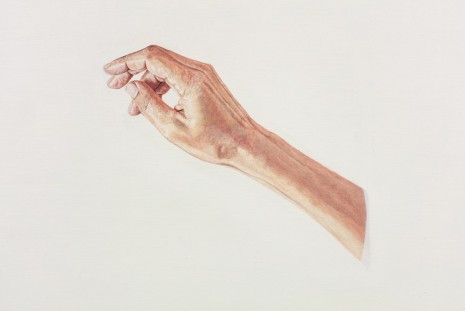 Toba Khedoori, Untitled (hand I) (detail), 2013-14, Regen Projects