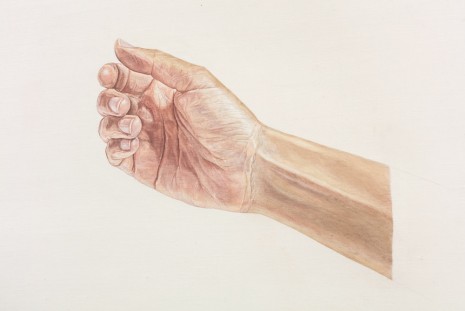 Toba Khedoori, Untitled (hand III) (detail), 2013-14, Regen Projects