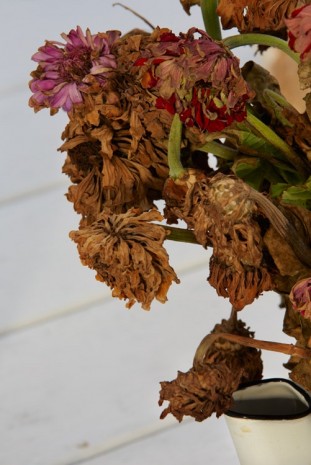 Roe Ethridge, Dead Flowers, 2015, Gladstone Gallery