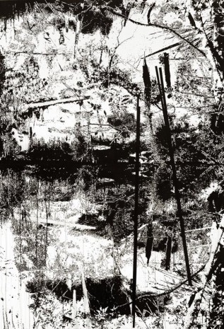 Yehudit Sasportas, Vertical Swamp nu. 2, 2014, Galleri Bo Bjerggaard