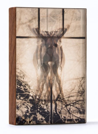 Robert Heinecken, Venus/Mirrored #6, 1968, Petzel Gallery