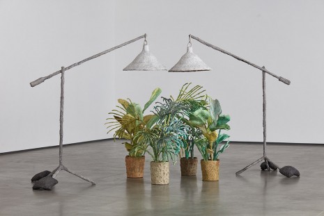 Evan Holloway, Plants and Lamps, 2015, David Kordansky Gallery