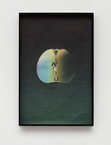 Marco Basta, Cosmic Apple, 2015, Monica De Cardenas