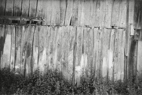 Ellsworth Kelly, Barn Wall, Meschers, 1950, Matthew Marks Gallery