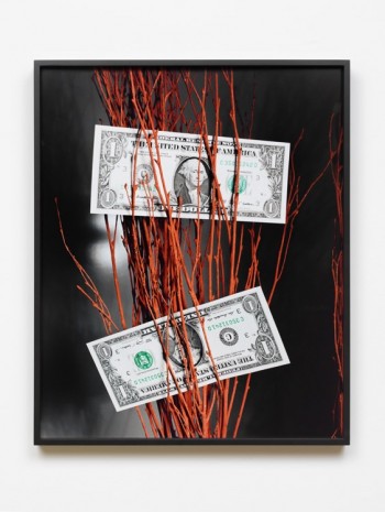 Annette Kelm, Two Dollar / Night, 2016, König Galerie