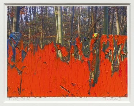 Gerhard Richter, 1. Dez. 2014, 2014, Marian Goodman Gallery
