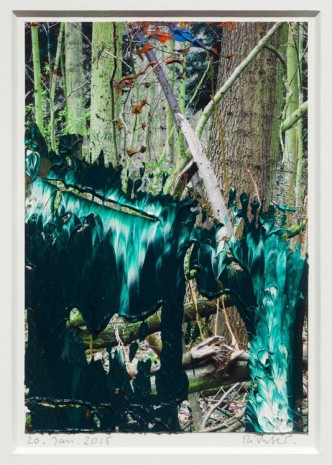 Gerhard Richter, 20. Jan. 2015, 2015, Marian Goodman Gallery