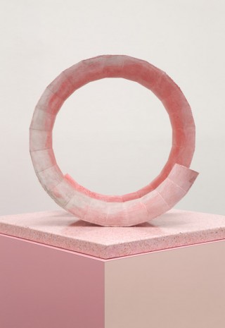 Julian Hoeber, Pink Tube, 2016, Blum & Poe