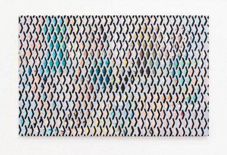 Becky Kolsrud, Group Portrait with Security Gate, 2015 , Maccarone