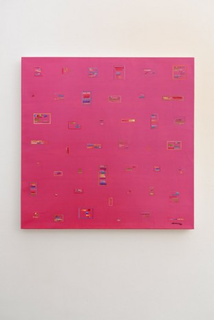 Zheng Guogu, Computer Controlled by Pig’s Brain, 2014, Galerie Chantal Crousel