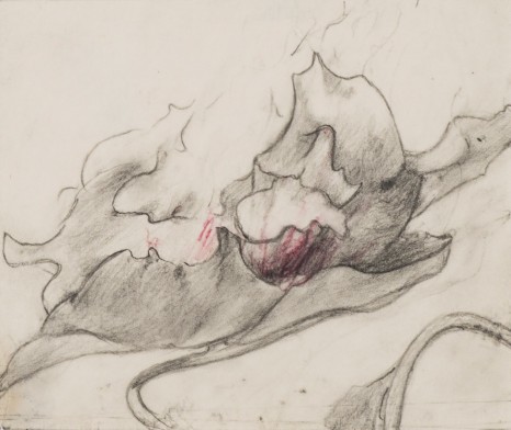 Dorothea Tanning, Sketch for Convolotus alchemelia (Quiet-willow window) (1 of 2), 1998, Alison Jacques