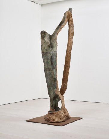 Giuseppe Penone, Dafne, 2014, Marian Goodman Gallery