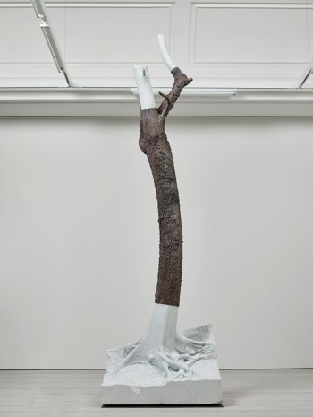 Giuseppe Penone, Indistinti confini - Macra, 2012, Marian Goodman Gallery