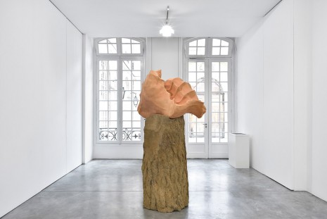 Giuseppe Penone, Avvolgere la terra (To Enfold the Earth), 2014, Marian Goodman Gallery