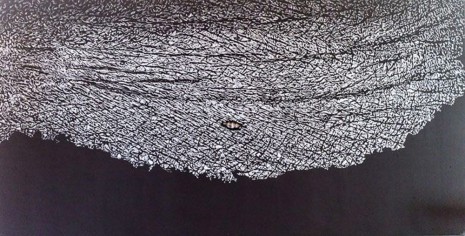 Giuseppe Penone, Pugno di grafite - palpebra (Handful of graphite-eyelid), 2012, Marian Goodman Gallery