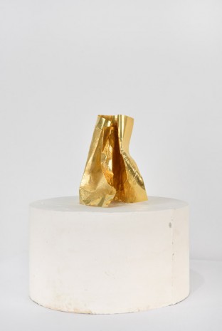 Giuseppe Penone, Spoglia d’oro (Plain of gold), 2001, Marian Goodman Gallery