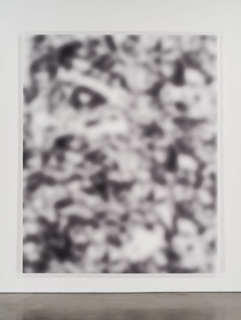 Jeff Elrod, Untitled (blur), 2016 , Luhring Augustine