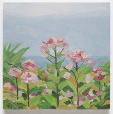 Maureen Gallace, Pink Flowers, 2016, Maureen Paley