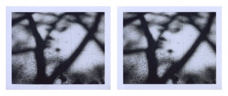 Peter Liversidge, New York Tree Shadow, 2015, Sean Kelly
